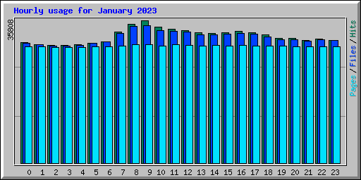 Hourly usage for January 2023