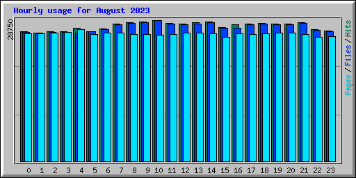 Hourly usage for August 2023