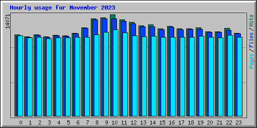 Hourly usage for November 2023