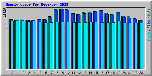 Hourly usage for December 2023