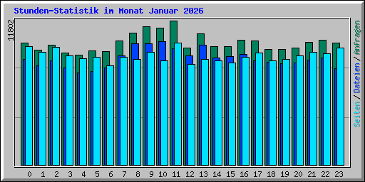 Stunden-Statistik im Monat Januar 2026